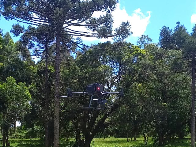 Avaliação das áreas experimentais conta com apoio de drone