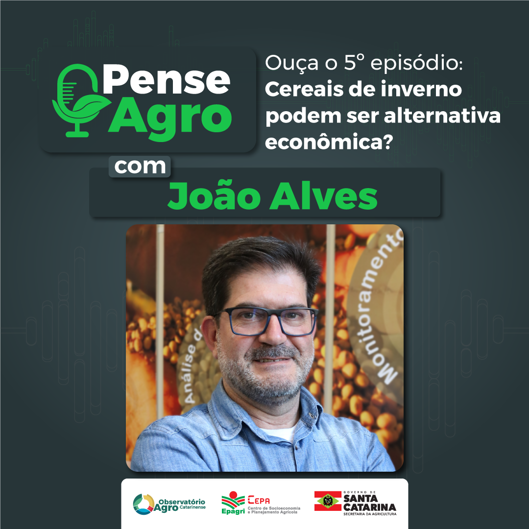 João Alves - Pense Agro