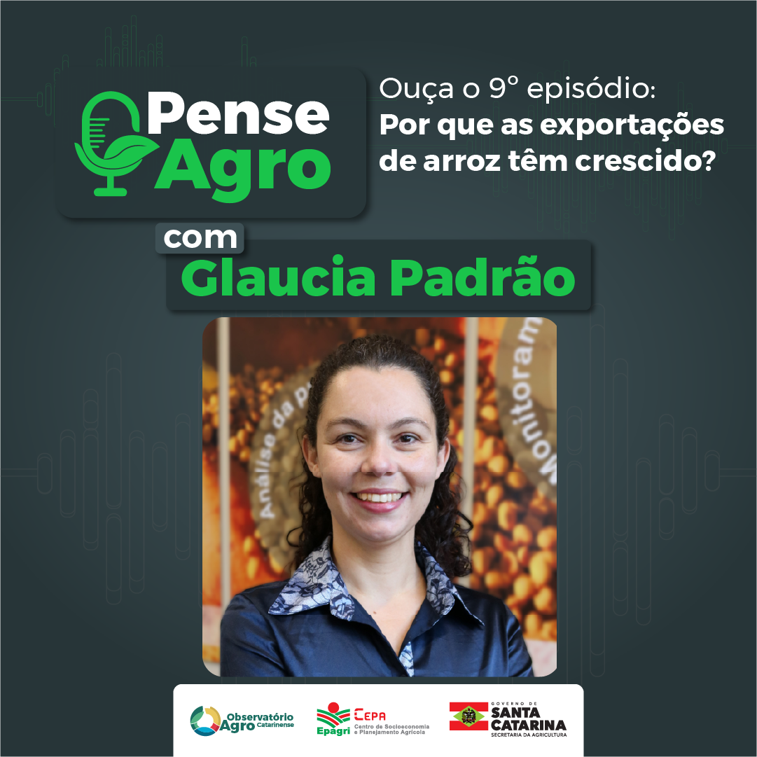 Glaucia Padrão fala sobre exportação de arroz
