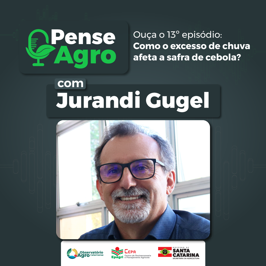 Jurandi Gugel fala sobre a safra de cebola