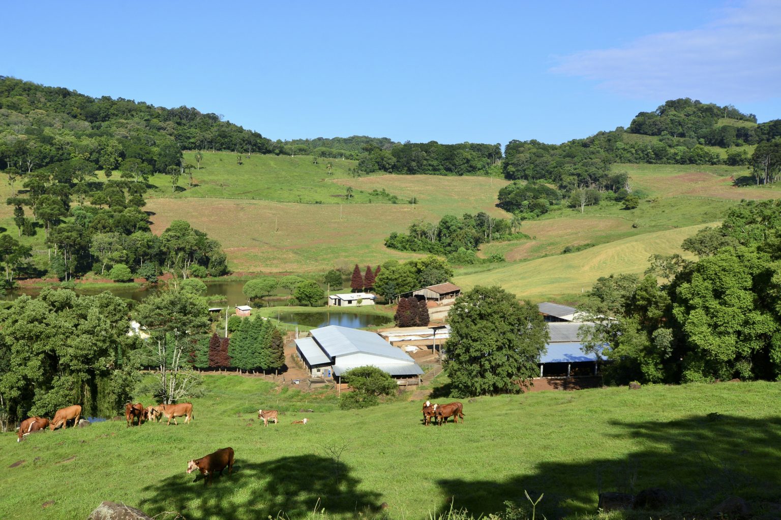 Ser Rural Desenvolvimento Rural - Observatório Agro Catarinense