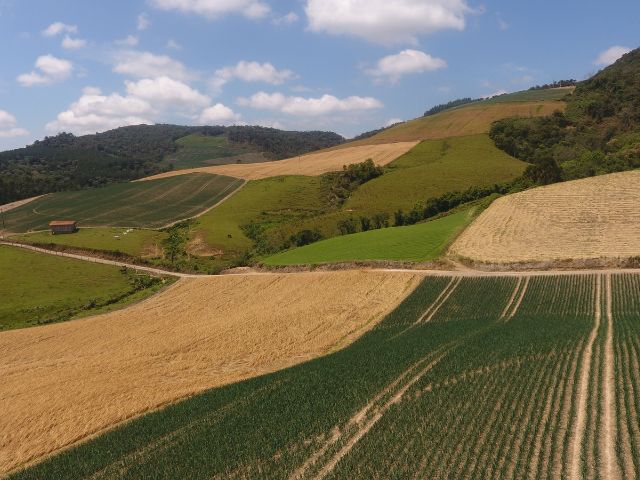 Observatório Agro Catarinense será lançado nesta sexta-feira, 9