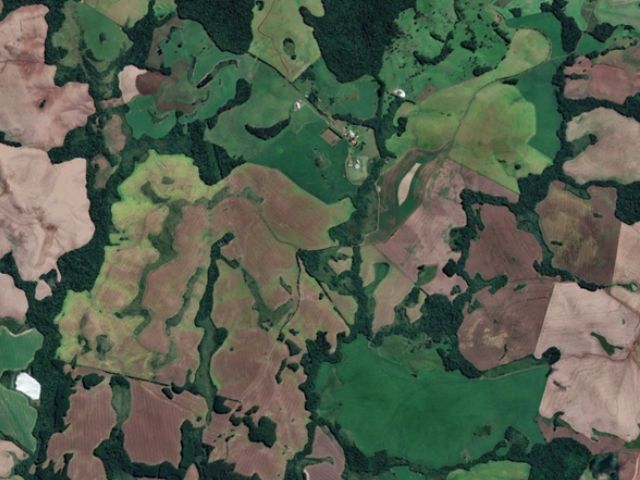 Epagri usa imagens de satélite para mapear área de soja em SC