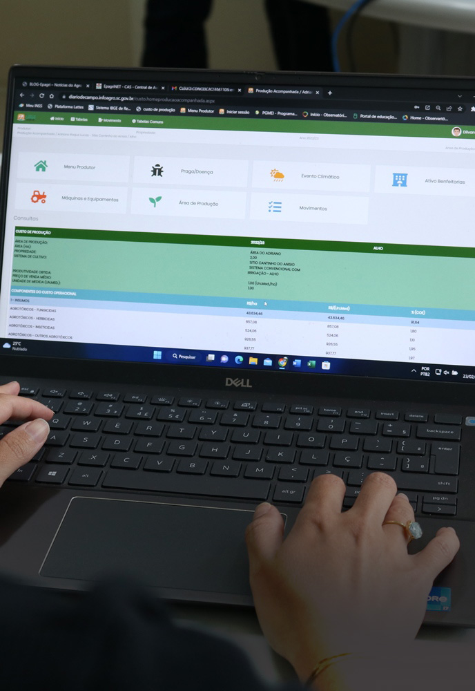 Ferramenta on-line permite ao agricultor conhecer o custo de produção atual e planejar a próxima safra