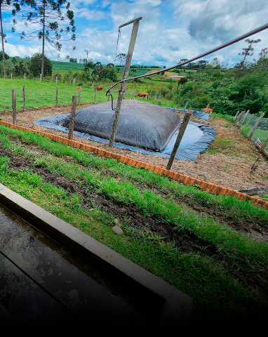 Em preparação ao 5º Fórum Sul Brasileiro de Biogás e Biometano, webinar apresenta casos e discute potencialidades