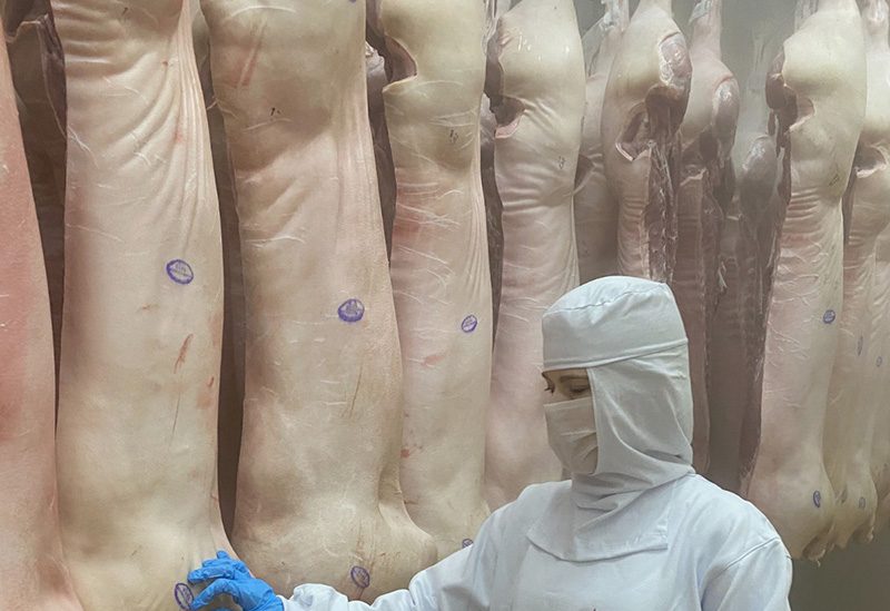 Exportações catarinenses de carne suína batem recorde histórico para o semestre