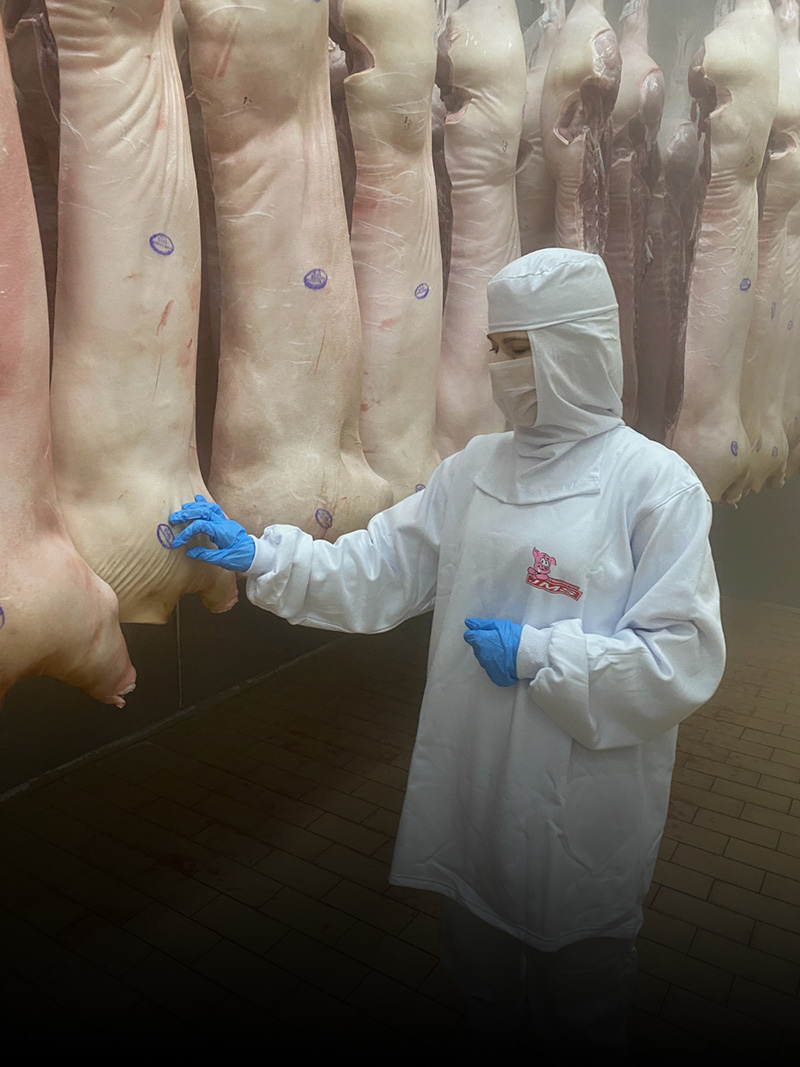 Exportações catarinenses de carne suína batem recorde histórico para o semestre