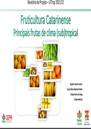 Relatório de projeto das frutas de clima subtropical – 2021/22