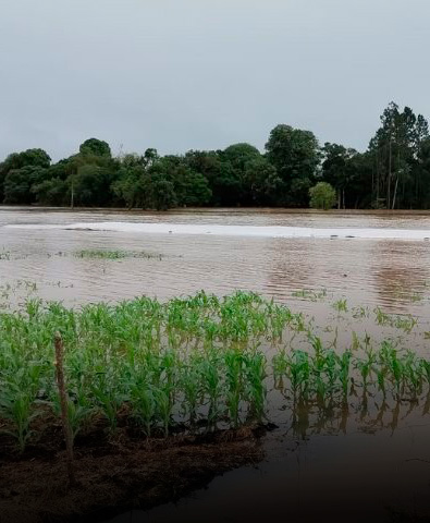 Chuvas de outubro em SC: perdas na agricultura ultrapassam R$1,6 bilhão