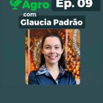 Glaucia Padrão fala sobre exportações de arroz