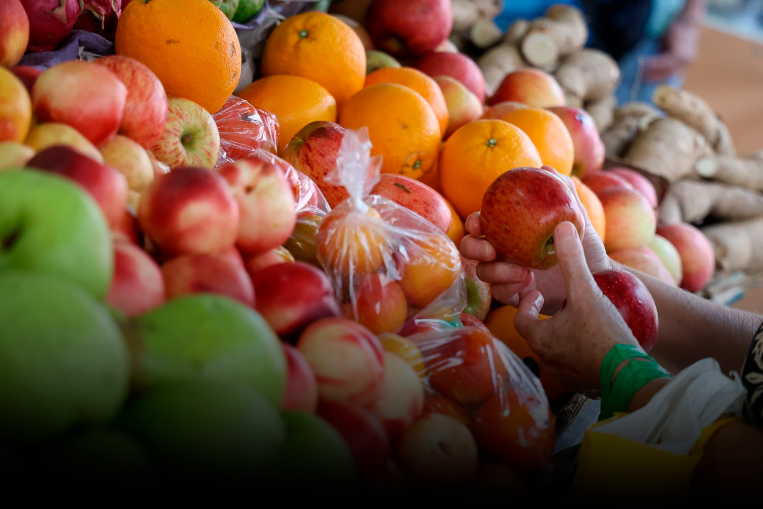 Santa Catarina é o estado com maior segurança alimentar e menor desigualdade de renda do Brasil