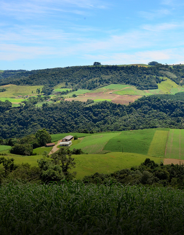 Levantamento da Epagri/Cepa mapeia preço das terras agrícolas em Santa Catarina