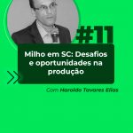Haroldo Elias no Pense Agro