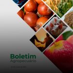 Capa do Boletim Agropecuário