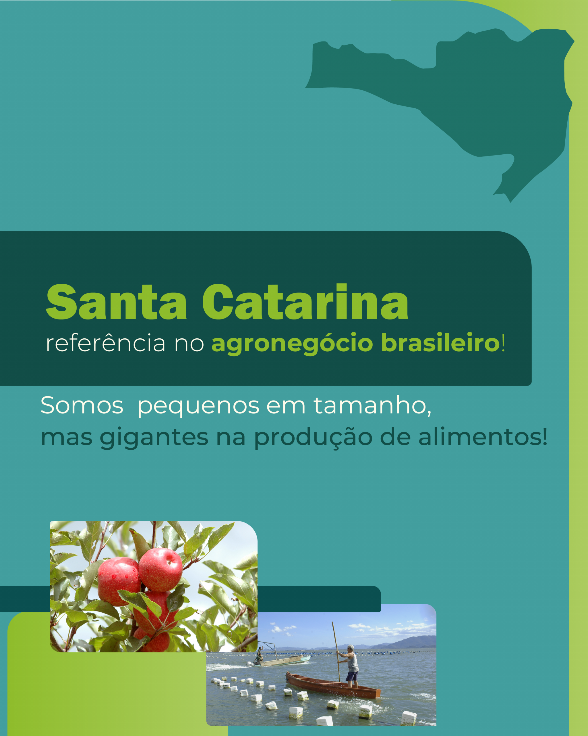 Santa Catarina: pequena no mapa, gigante no agro!