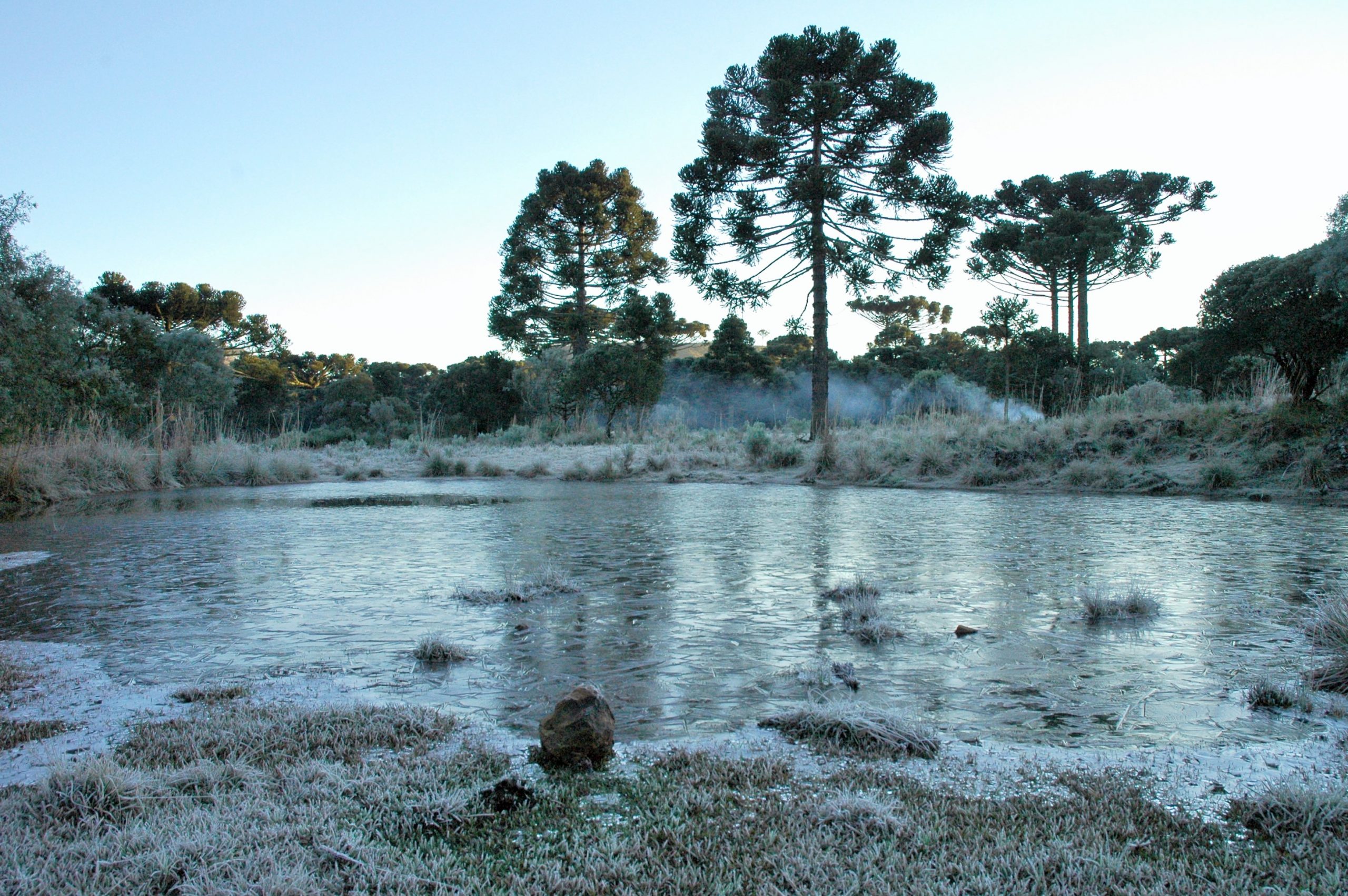 Inverno 2025: semana começa com frio intenso e possibilidade de neve em Santa Catarina