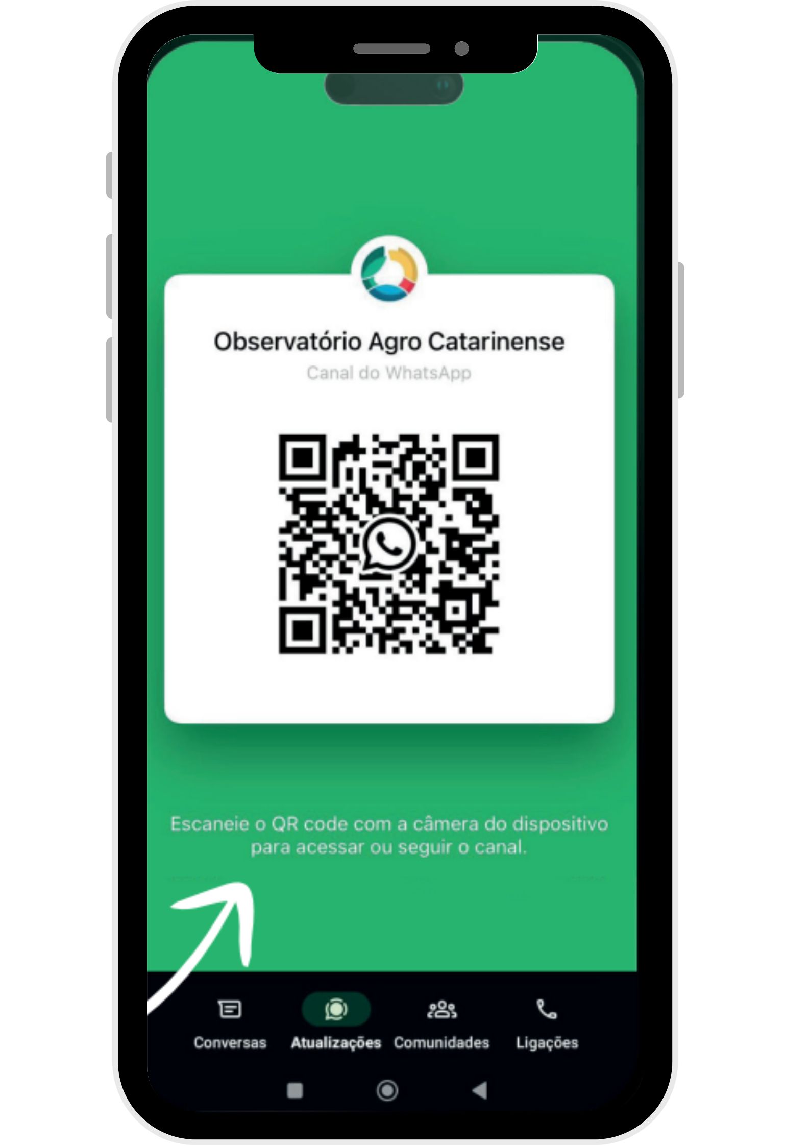 Epagri/Cepa estreia canal no WhatsApp com informações estratégicas do agro catarinense