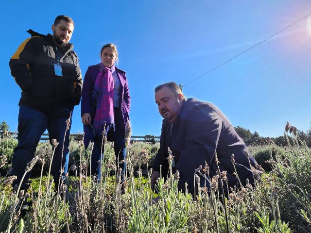 Epagri apoia novo empreendimento turístico com flores na Serra de SC