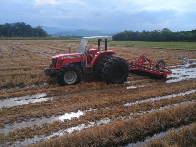 Políticas públicas impulsionam a produção sustentável de arroz em Santa Catarina