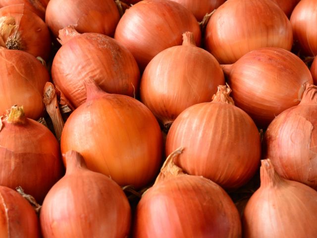 Importação de cebola é zerada para o mês de outubro no Brasil após 18 anos devido à oferta interna recorde