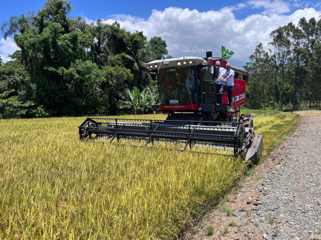 Parceria entre pesquisa e setor produtivo marca abertura da colheita do arroz em SC