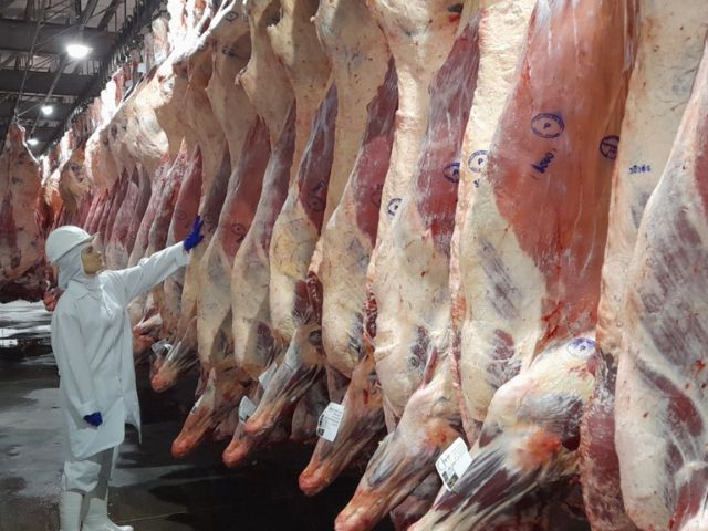 Pecuária de Santa Catarina fecha 2025 com números históricos