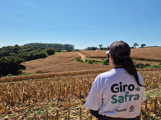 Epagri e Sicoob apresentam dados preliminares sobre a safra de milho 2025/26 em São Miguel do Oeste