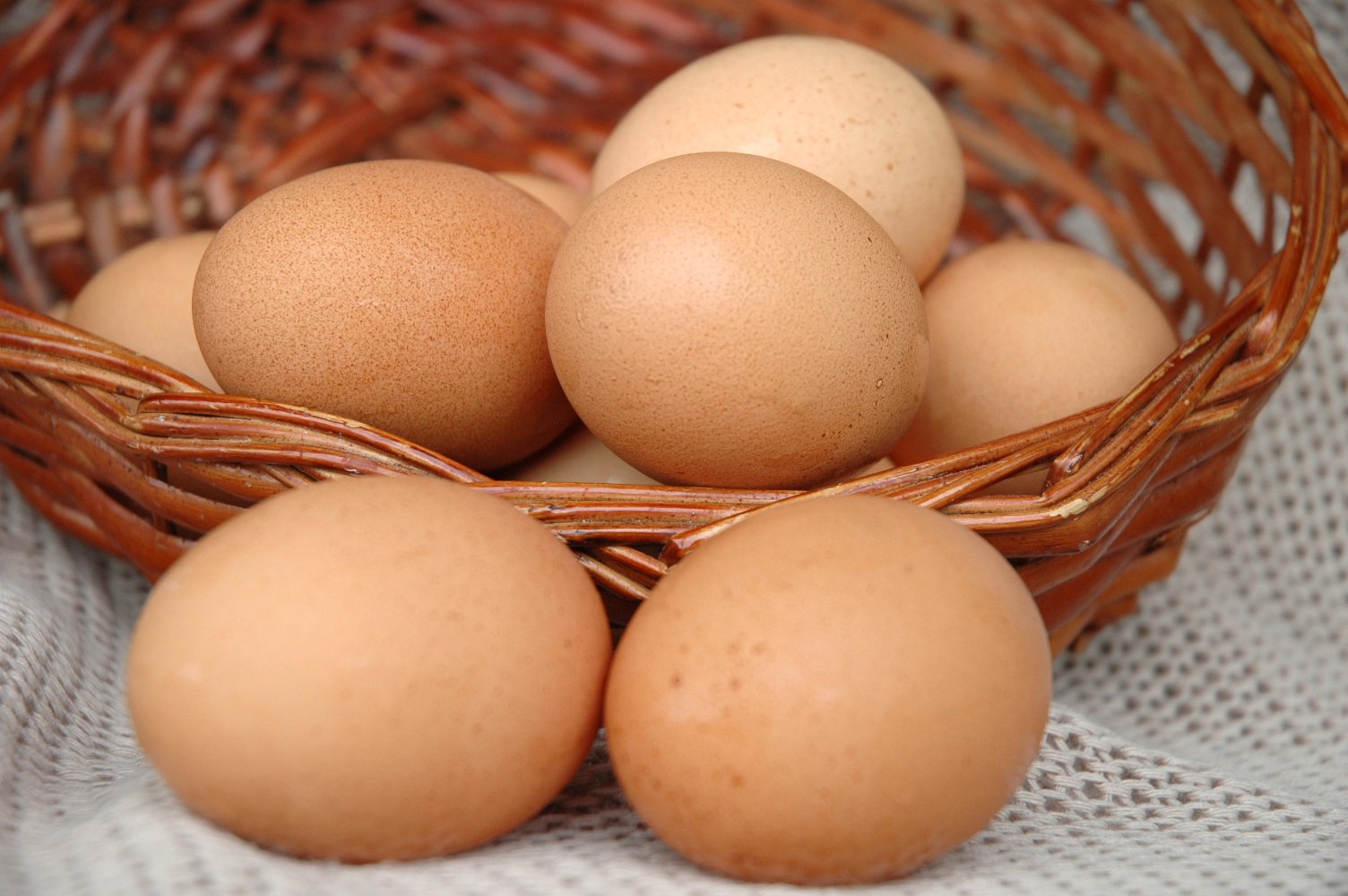 Preço dos ovos sobe em fevereiro e interrompe sequência de quedas em Santa Catarina