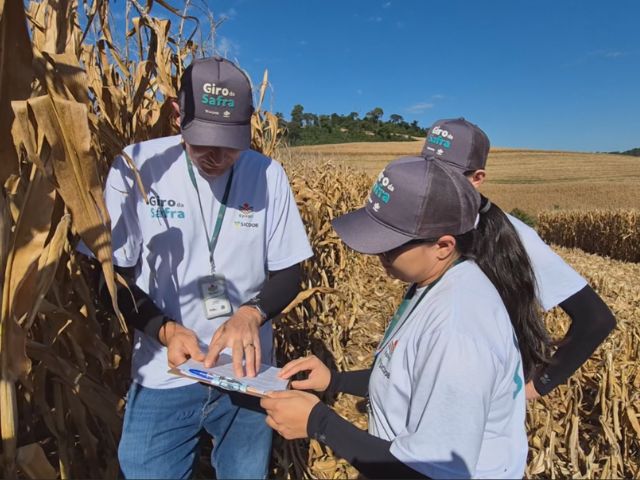 Extremo-Oeste deve colher mais de 200 sacas de milho por hectare, indica Giro da Safra