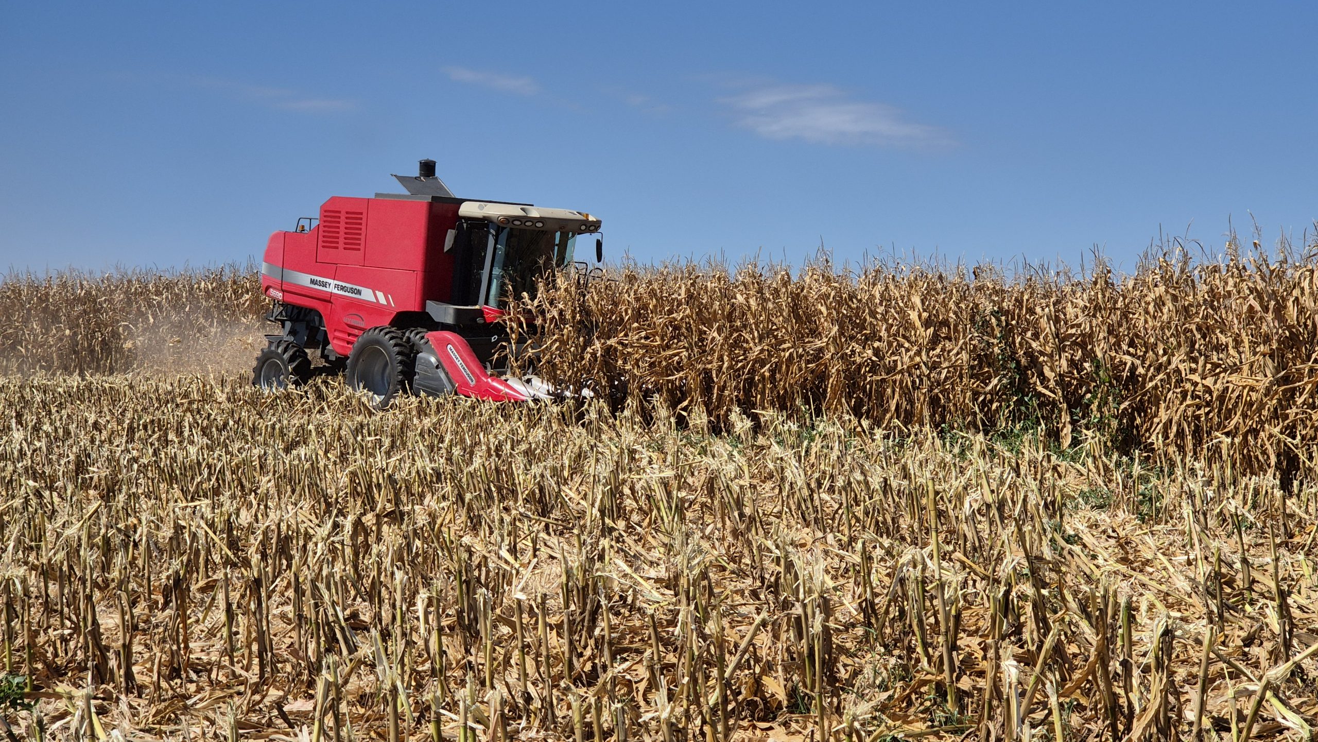 Epagri e Sicoob realizam segunda fase do Giro da Safra do milho em Campos Novos