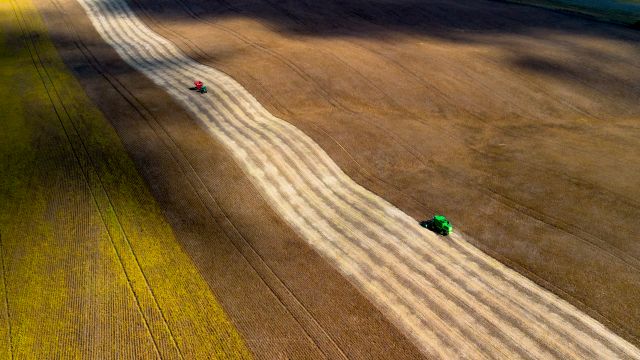 Mercado da soja mostra resiliência em Santa Catarina, aponta Boletim Agropecuário da Epagri/Cepa