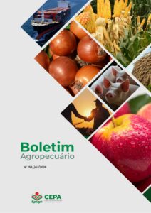 Boletim Agropecuário – 07/2026