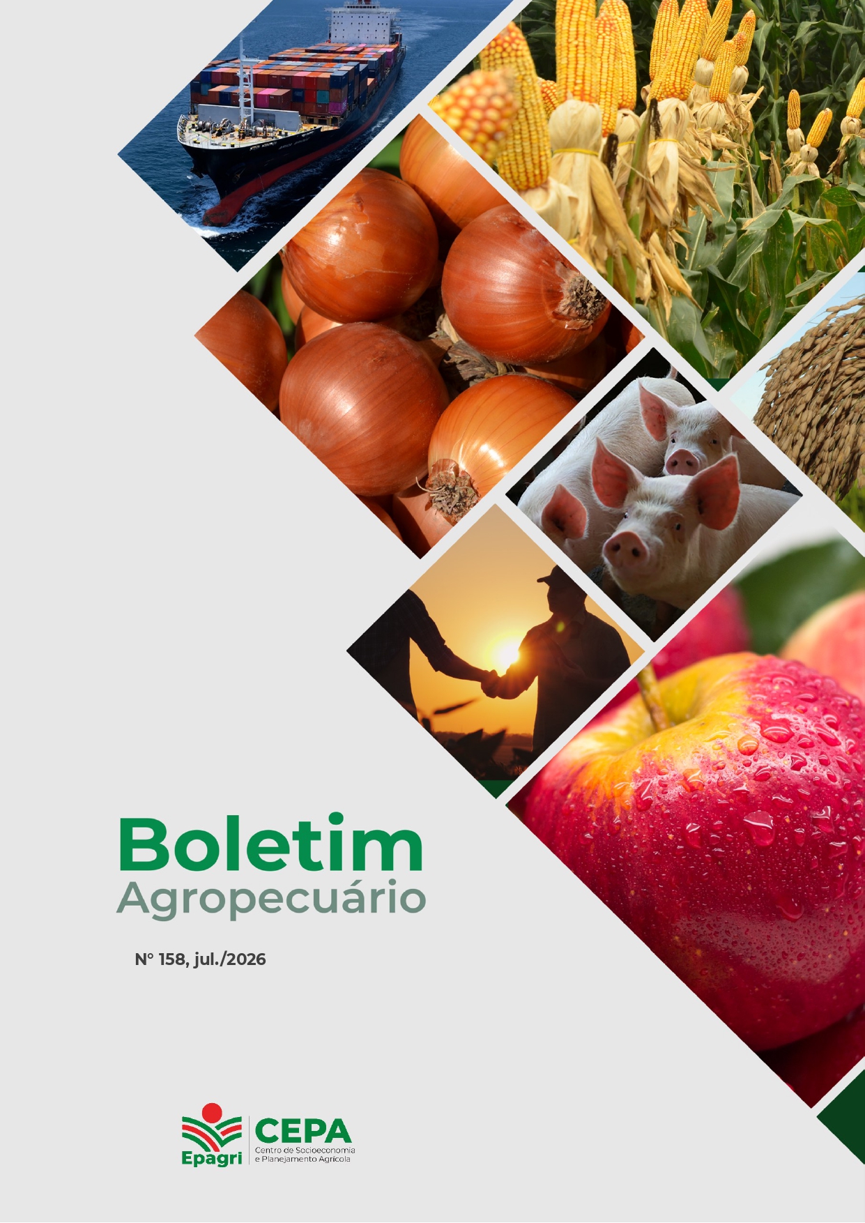 Boletim Agropecuário – 07/2026