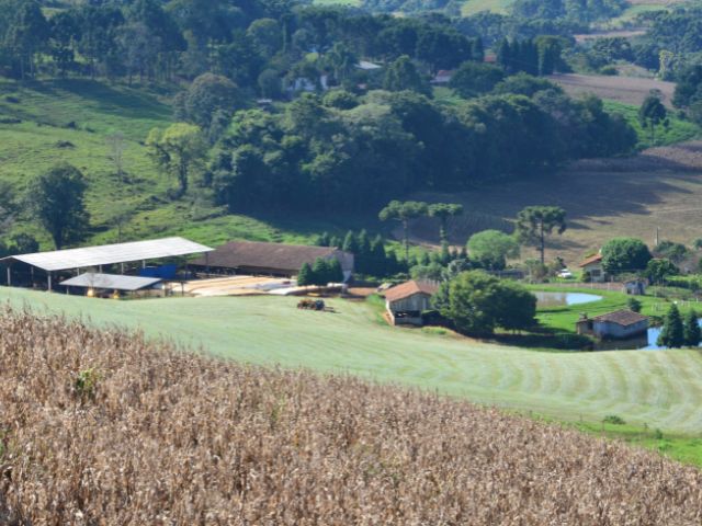 Epagri/Cepa divulga edição de julho do Boletim Agropecuário
