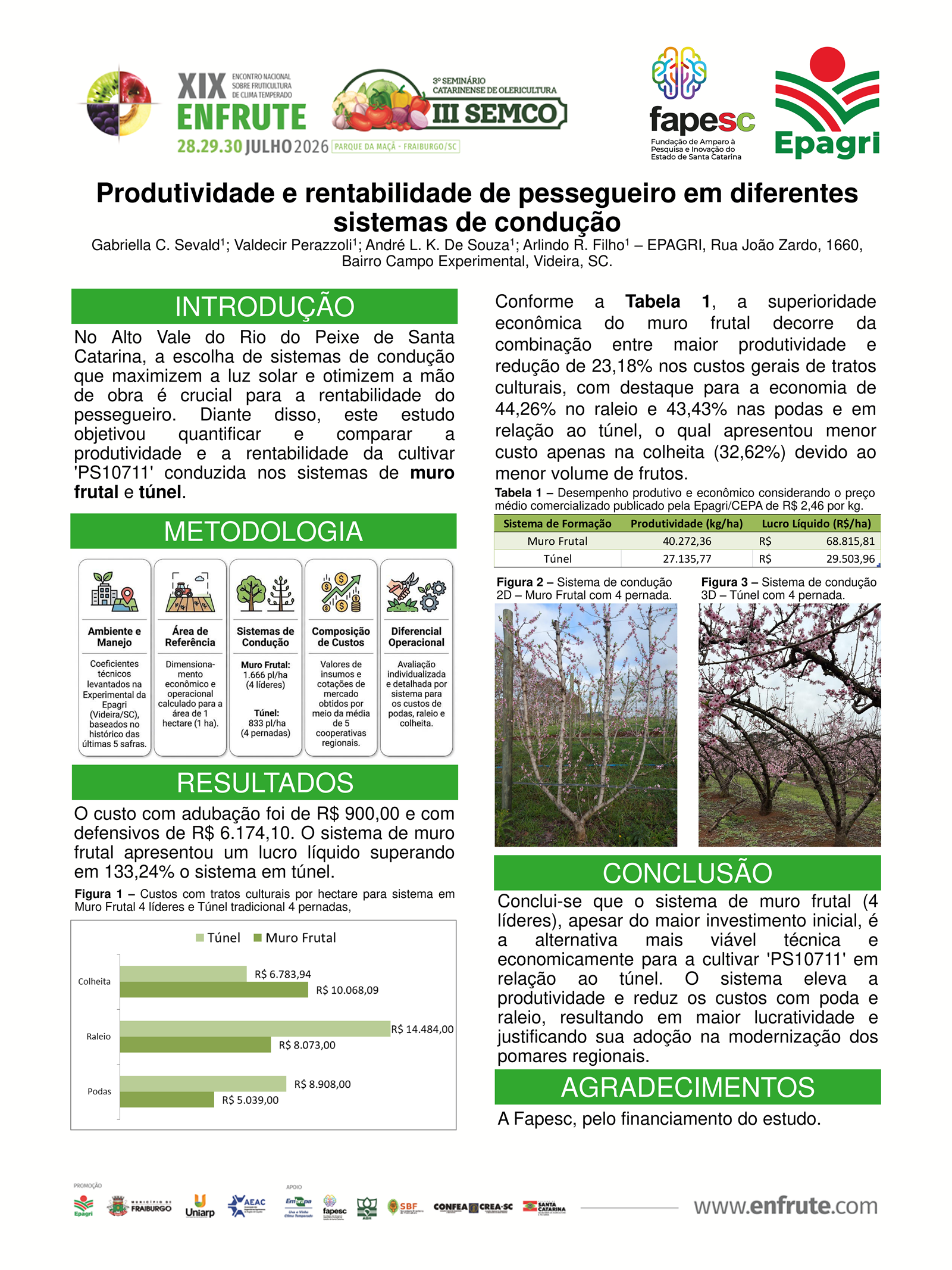 Produtividade e rentabilidade de pessegueiro em diferentes sistemas de condução