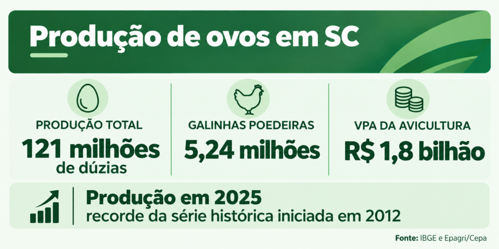 Produção de ovos cresce em Santa Catarina e fortalece atividade no agro